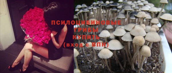 сатива Алексин